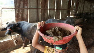 Dung power: India taps new energy cash cow