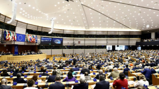 EU parliament looks to tighten lobbying rules for ex-MEPs