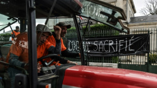 Angry French cognac makers see red over Chinese tariffs threat