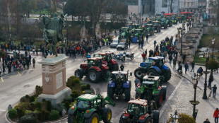 Des milliers d'agriculteurs manifestent en tracteur à travers l'Espagne