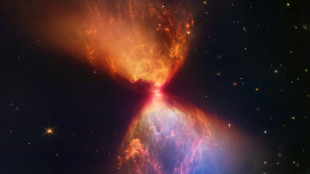 Webb telescope reveals blazing hourglass around forming star