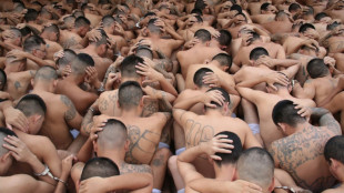 El Salvador's popular millennial president waging war on gangs