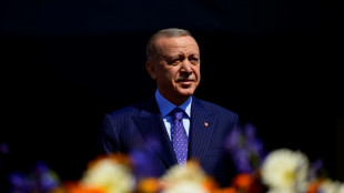 Eau, pétrole, sécurité régionale: le président turc Erdogan à Bagdad