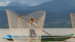 En México, rescatan al lago de Pátzcuaro con peces blancos y limpieza de manantiales