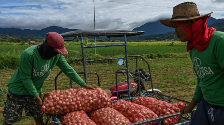 Aux Philippines, l'oignon devenu bien de luxe atteint des prix à pleurer