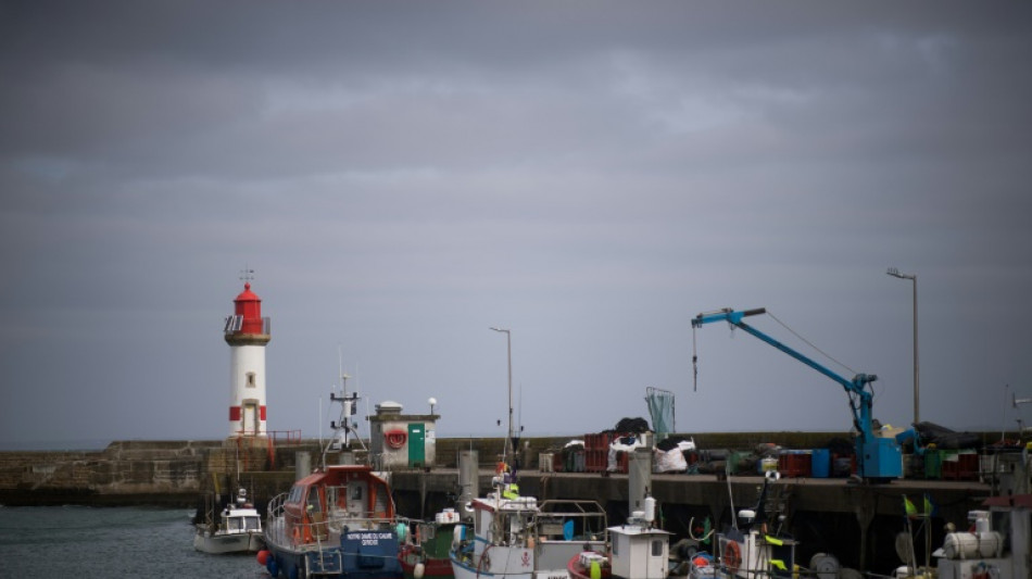 Les poissons d'Oman créent des remous à Lorient