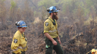 Incendi in Canada, 25mila evacuati a Jasper su Montagne Rocciose