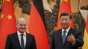 China's Xi, Scholz seek closer ties in controversial summit