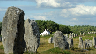 Anger as pre-historic stones destroyed for French DIY store