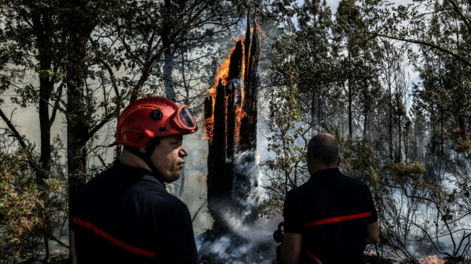 Incendie en Gironde: feu "contenu mais pas fixé", 1.000 personnes évacuées