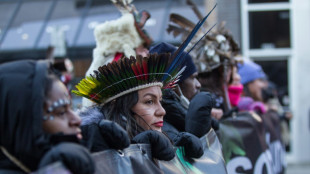 Déguisés en arbre ou en oiseau, des manifestants dans la rue à Montréal pour la biodiversité 